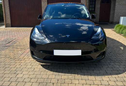 Tesla 52 kWh Standard Range RWD