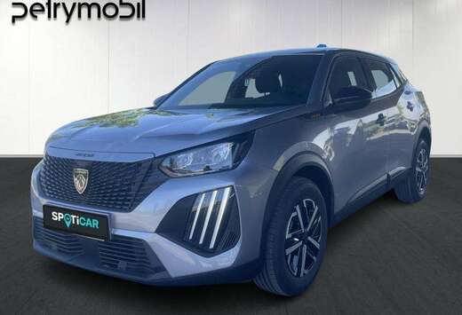 Peugeot II // VEHICULE DE DIRECTION //