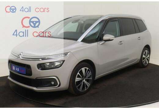 Citroen 3383 Shine 7pl GPS LED CAM PDC KEY LED, Massa ...