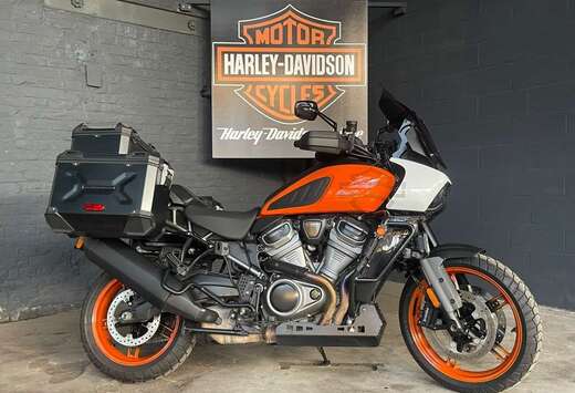 1250 SPECIAL TRAIL