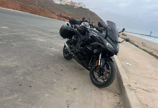 Scorpion