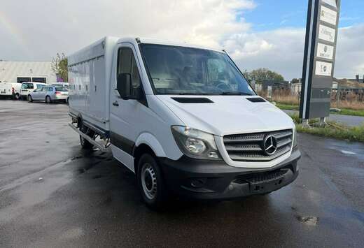 Mercedes-Benz 313 (Stock ID 59127)