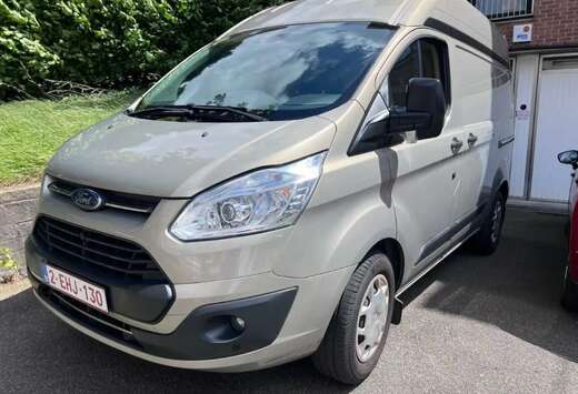 Ford 290 L1H1 LKW VA Trend