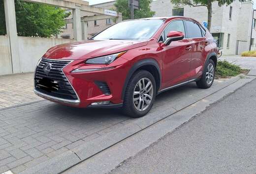 Lexus NX 300h 2.5i AWD Executive Line E-CVT (EU6.2)