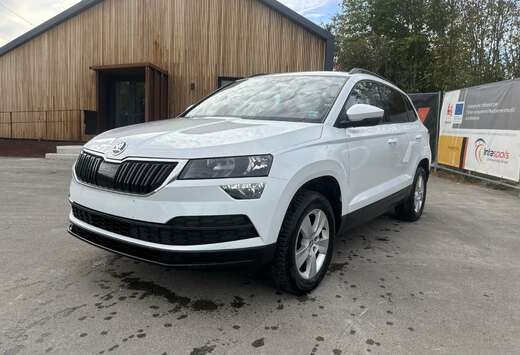 Skoda En Parfait État