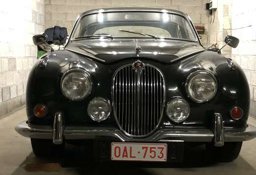 Jaguar Model 240