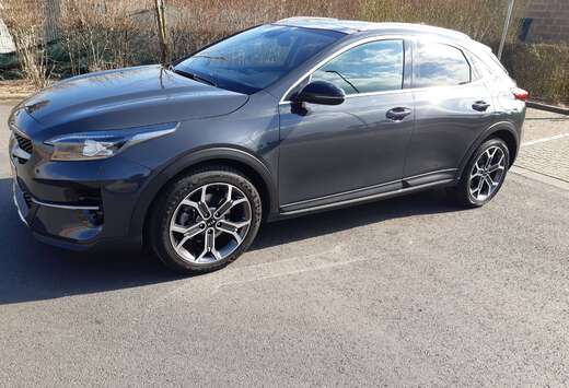 Kia XCeed 1.6 CRDi MHEV More DCT