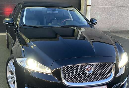Jaguar