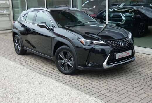 Lexus Hybrid +TREKHAAK +LEDER +Zetelverwarming +Dodeh ...