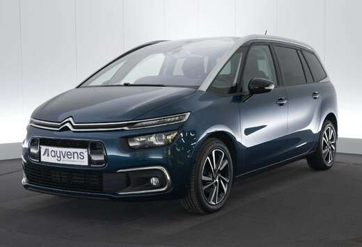 Citroen 1.5 BlueHDi EAT8 Business Lounge 7Pl. LEDER/C ...