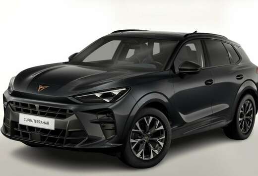 Terramar 1.5 eTSI DSG