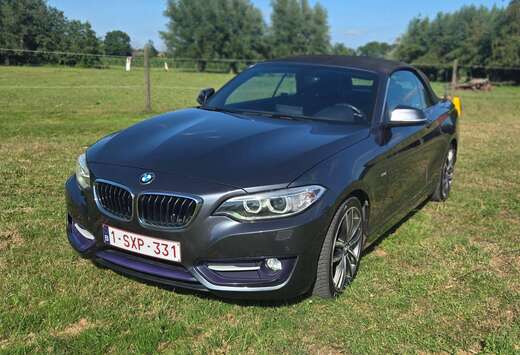 BMW Cabriolet 218 dA