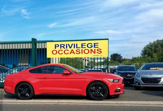 Ford 2.3 EcoBoost 317 CV 28OOO KM FULL OPTIONS