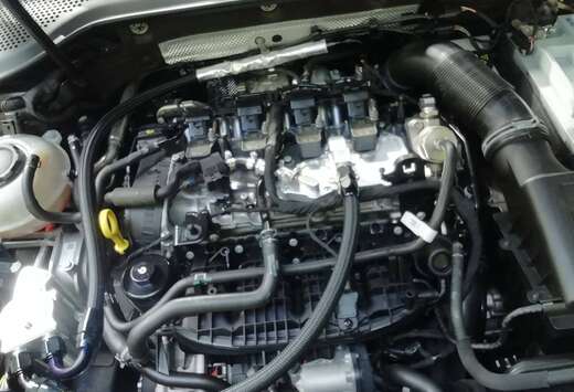 Volkswagen Golf 2.0 TSI TCR OPF DSG