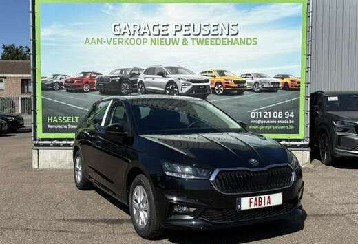 Skoda 1.0 TSI Family DSG
