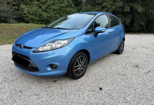 Ford 1.25i Trend Gekeurd Voor Verkoop