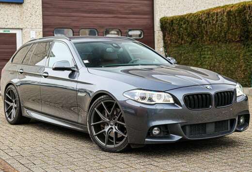 BMW Lichte vracht: 530d Touring Sport-Aut.