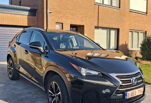 Lexus NX 300h 2.5i AWD F Sport Line E-CVT