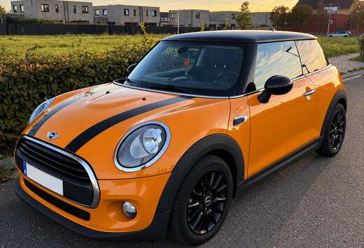 MINI 1.5