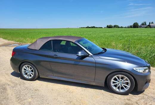 BMW Cabriolet 220 dAS
