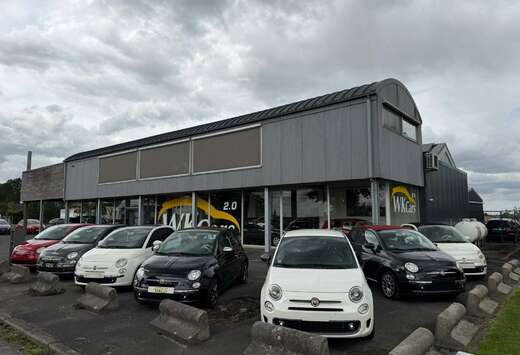 Fiat 500 1.2i Lounge//7 stuks op stock//prijzen in de ...