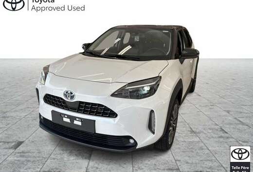 Toyota Elegante BI-TON