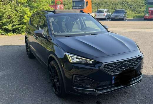 SEAT 2.0 CR TDi 4Drive Xcellence DSG (EU6AP)