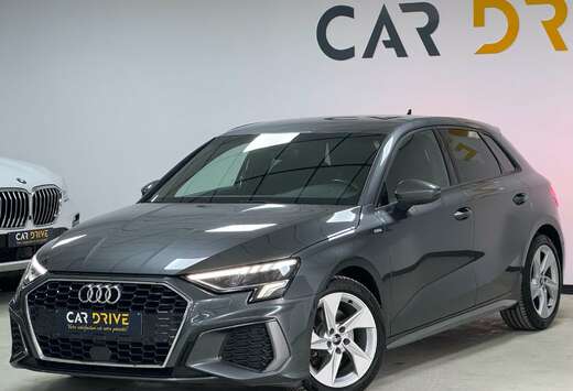 Audi 30 TDi S line B AUTO PALETTE/PARKASSIST/ACC/FULL