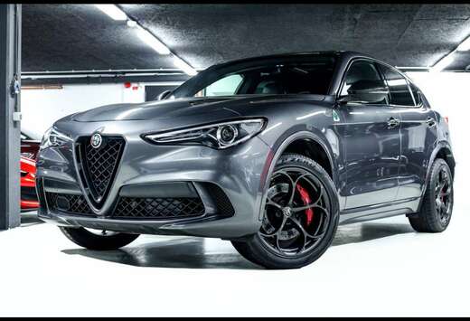 Alfa Romeo QUADRIFOGLIO 2.9T V6 AT8-Q4GRIGIO VESUVIOC ...