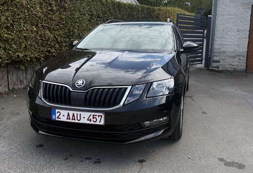 Skoda SW CNG 1.5 TGI G-TEC Style DSG