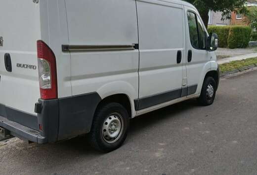 Fiat 2.2 JTD Multijet C