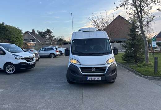 Fiat 2.3 Multijet XL-H3 (EU6) Export