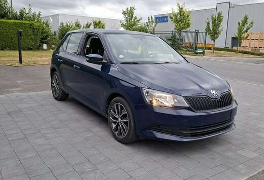 Skoda 1.0