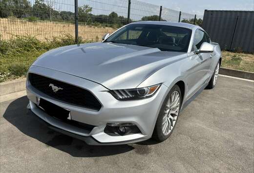 Ford 2.3 EcoBoost
