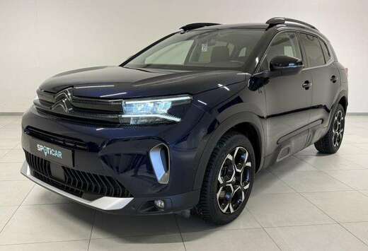 Citroen Business