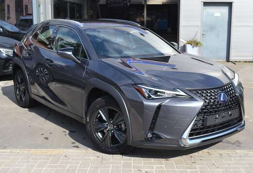 Lexus LED/LEDER/NIEUWSTAAT