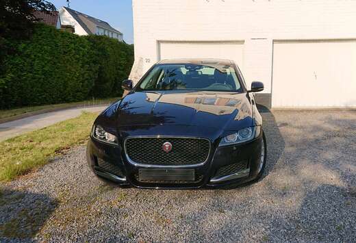 Jaguar XF 2.0 D Business Edition Prestige