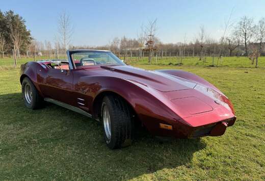 Corvette Stingray in uitstekende staat