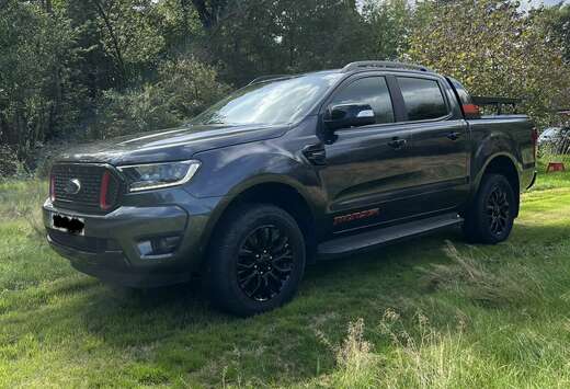 Ford 2.0 BiT EcoBlue Wildtrak (EU6.2)
