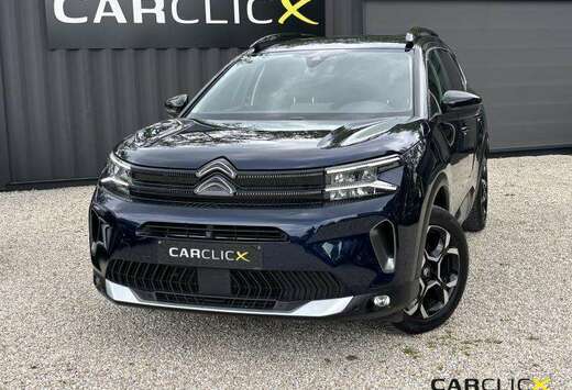 Citroen Shine