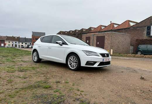 SEAT Xcellence (met TGI/CNG motor)