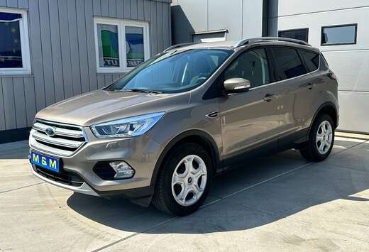 Ford Kuga 1.5 EcoBoost FWD Business Edition ** 12M Ga ...