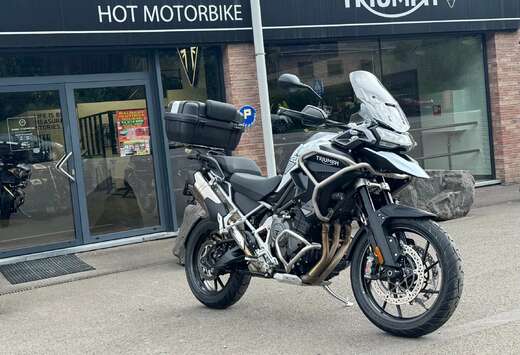 Triumph GT Pro (garantie 24 mois)