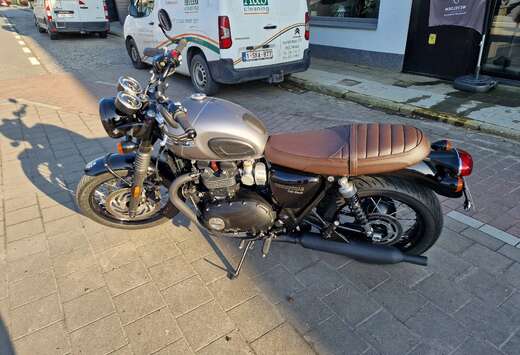 Triumph Black