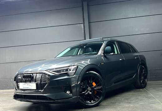 Audi 55 Quattro 95 kWh / Pano dak / Trekhaak / 360°  ...