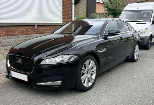Jaguar