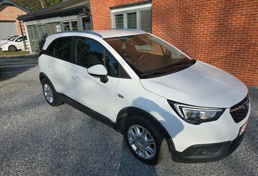 Opel 1.5 d 2019 - Lichte Vracht - ex BTW mogelijk
