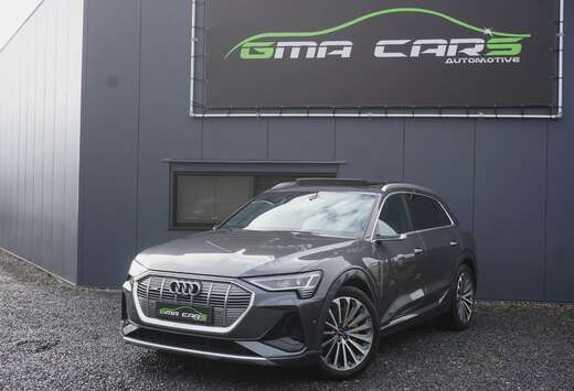 Audi 95 kWh 55 Quattro S line-Nav-Pano-Keyless-Garant ...