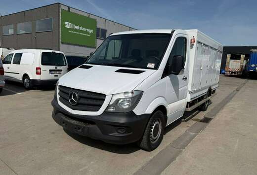 Mercedes-Benz 313 (Stock ID 54183)