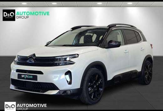 Citroen Business max camera panodak